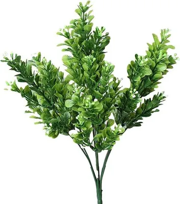 Image de Fleurs en plastique à 7 branches pour la maison, le jardin ou le balcon - blanc et vert - décoratives et réalistes, avec des buis artificiels