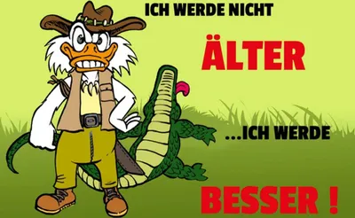Produktbild von vianmo Holzschild 30x40 cm Werde nicht älter werde besser
