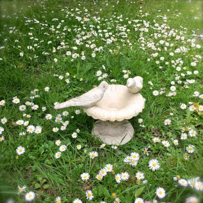 Produktbild von Vogelbad, dekorative Vogeltränke - wie kleiner Brunnen für Fensterbank + Balkon