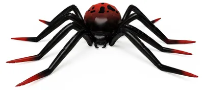 XXL Folien Standballon in Form einer schwarzen Spinne mit rotem Körper und langen schwarz roten Beinen als Halloween Dekoration.