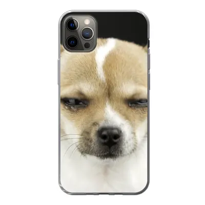 Produktbild von MuchoWow® Handyhülle Schutzhülle Hülle für iPhone 12 Pro Max Weinender Hund auf schwarzem Hintergrund Silikon Softcase Handy Hülle