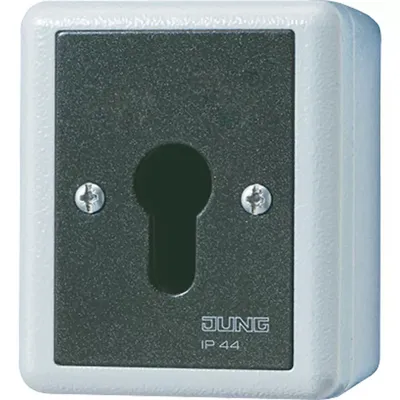 Zdjęcie produktu dla JUNG 833.18 G, Przełącznik kluczykowy, 1P, Przewodowa, Termoplastyczny, Czarny, Biały, IP44