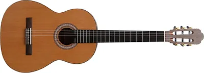 Zdjęcie produktu dla Prodipe Guitars Primera 4/4
