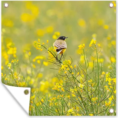 Produktbild von MuchoWow® 100x100 cm Outdoor-Poster Gartendeko Sichtschutz Garten Poster für den Garten  Vogel - Blumen - Gelb