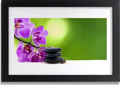 Produktbild von Bild 30x20 MDF-Rahmen Wandkunst Orchideen Grüne Blumen