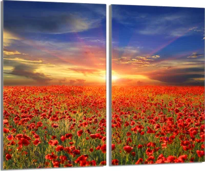 Image de Plaques de recouvrement pour cuisinière 2 pièces 30x52 Couverture de plaque vitrocéramique, paysage coquelicots