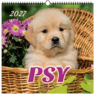 Obrázok produktu pre Kalendár na rok 2027, viacstranový, formát 33x33 cm, motív: psy – Artsezon