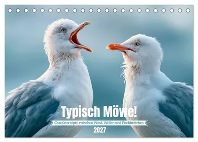 Produktbild von Typisch Möwe! (Tischkalender 2027 DIN A5 quer), CALVENDO Monatskalender