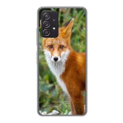 Produktbild von MuchoWow® Handyhülle Schutzhülle Hülle für Samsung galaxy a73 Fuchs - Orange - Wald Silikon Softcase Handy Hülle - Handyhülle