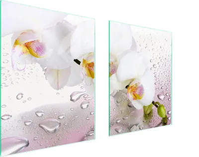 Obrázek produktu pro Skleněná Ochranná Deska Pro Stáda 85X52 Orchidejí