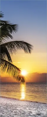 Produktbild von Wallario selbstklebendes Poster - Palme am Strand - Sonnenuntergang über dem Meer, Größe: 80 x 200 cm