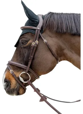Produktbild von Dyon D Collection Plaited Flash Trense Braun Cob Braun Cob