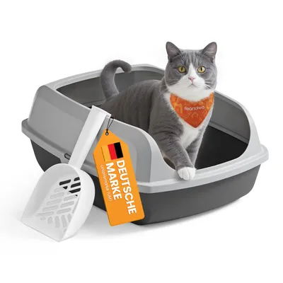 A cat is sitting in a litter box with a scoop and a tag.