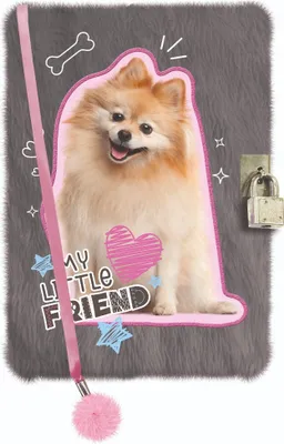 Image de Cadenas Journal A5 96k Sweet Pomeranian Majewski