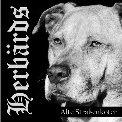 Obrázek produktu pro Starý Straenkter