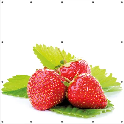 Produktbild von Wallario Outdoor-Poster für Garten oder Balkon, Motiv Frische rote Erdbeeren für die Küche, in ca. 180 x 180 cm