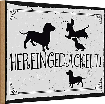 Produktbild von Holzschild Spruch 30x20cm Hereingedackelt!