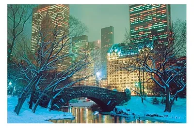 Image de New York - Central Park - 61x91,5cm - Affiche Poster