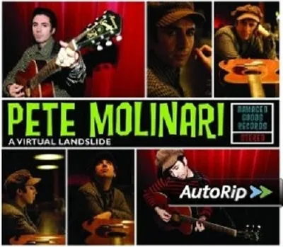 Produktbild von Molinari,Pete-A Virtual Landslide