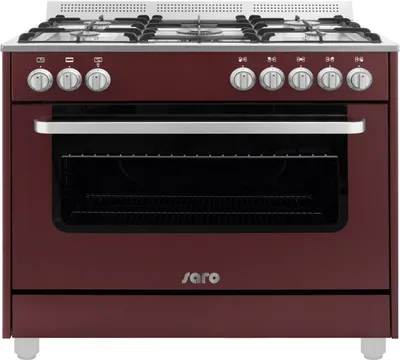 Obrázek produktu pro Multifunkční plynový/elektrický sporák Saro model Ts95C61Lvi