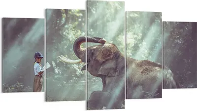 Produktbild von Bild auf Leinwand - Leinwandbild - Elefant Dschungel Stoßzahn - 160x85cm - Wand Bild - Wanddeko - Leinwanddruck - Bilder - Kunstdruck - Wanddekoration - Leinwand bilder - Wandkunst - EA160x85-3486