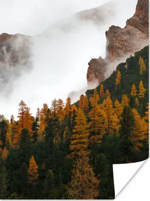 Produktbild von MuchoWow® Poster Kiefer - Herbst - Berg - Landschaft 120x160 cm - Wandbilder