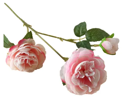 Produktbild von 26 Zoll große künstliche Pfingstrosen mit langen Stielen, Arrangement aus Kunstseide mit 2 voll erblühten Köpfen und 1 Knospe, ideal als Tischdekoration für Hochzeiten, Partys oder als Heimdekoration.