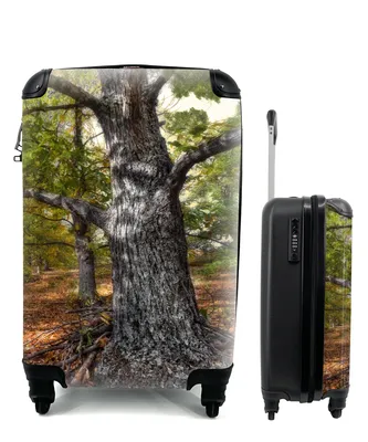 Produktbild von MuchoWow® Koffer Handgepäck Trolley Rollkoffer Kleine Reisekoffer mit 4 Rollen - Mehrere Kastanienbäume - Cabin Size < 55x40x23 cm & 55x40x20 cm - Fotokoffer - Kabinenkoffer - Boardgepäck - Reise-Box - Reisekoffer - Reisegepäck - Koffer mit Bild - Trolley für Kinder