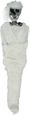 Produktbild von Staubtrockene Mumie Dekohänger 40cm