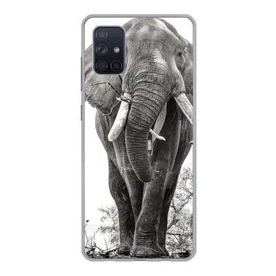 Produktbild von MuchoWow® Handyhülle Schutzhülle Hülle für Samsung Galaxy A71 Elefant - Porträt - Tiere - Schwarz und weiß Silikon Softcase Handy Hülle - Kartenbesitzer