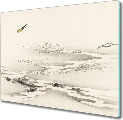 Produktbild von Coloray Hackbrett Herdabdeckplatte 60x52 cm Küchenbrett Kochplattenabdeckung Schneidebrett - Vogel Fluss
