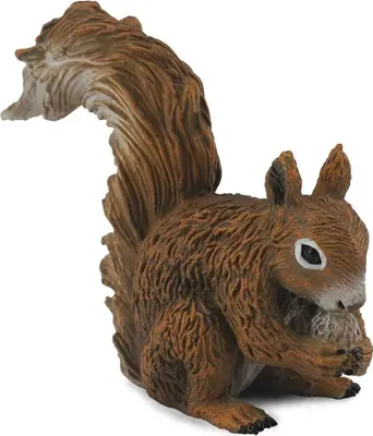 Image de Collecta - Écureuil rouge - S - 88467 (90188467) COLECTA