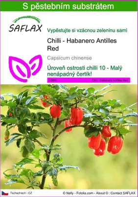 Obrázek produktu pro SAFLAX - Chilli - Habanero Antilles Red - Capsicum chinense - 10 Semena - S pěstebním substrátem bez klíčků