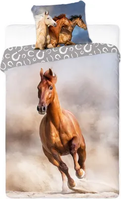 Produktbild von Pferde- Bettwäsche 140x200 cm "Stolzes Pferd", 100% Baumwolle