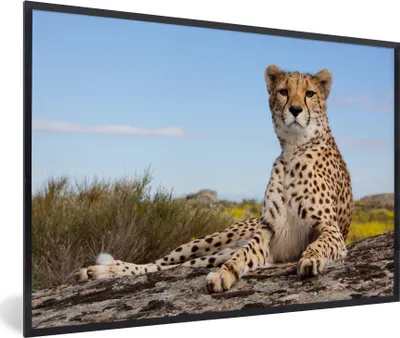 Produktbild von MuchoWow® Gerahmtes Poster Leopard - Tiere - Natur 90x60 cm - Poster mit Schwarzem Bilderrahmen Wandposter Rahmen Foto Bilder - Fotorahmen - Foto-Plakat