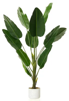 Image de Palmier Kunstbananen en pot - 120 cm. Palmier artificiel, plante d'intérieur. Plante en plastique réaliste, idéale pour la décoration intérieure, notamment pour les salons et les bureaux. Feuilles de palmier vertes, 120 cm