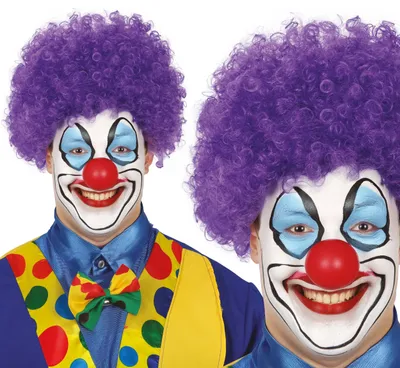 Immagine prodotto di Parrucca da clown viola per uomo e donna