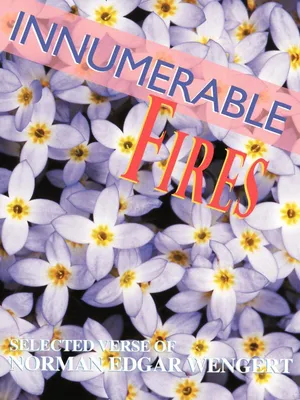 Produktbild von Innumerable Fires