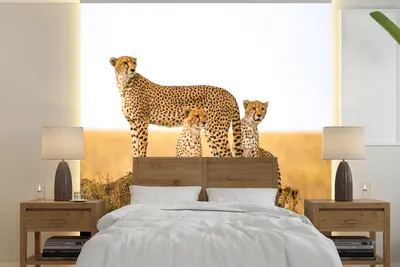 Produktbild von MuchoWow® Fototapete für Wohnzimmer oder Schlafzimmer Wandtapete Vinyl Motivtapete Gepard - Gras - Natur - Savanne - 350x350 cm - Schlafzimmertapete