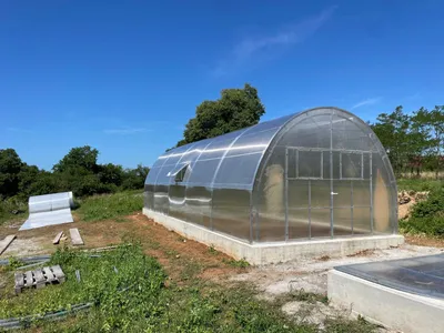 Produktbild von Gewächshaus 4×8 m GOLEM PLUS – robustes Garten-Treibhaus mit 10 mm Polycarbonat, 2 Fenster & Automatiköffner, Versand inklusive