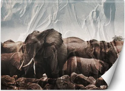 Immagine prodotto di Murale XXL Elefanti in branco Carta da parati per pareti 350x245 cm Colore Marrone Tema Animali