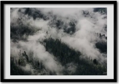 Produktbild von Bild - Bilder - Bilderrahmen - 70 cm x 50 cm - MDF-Rahmen, Wandkunst den Wald Nebel über