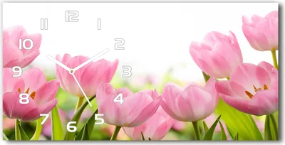 Produktbild von Wanduhr aus Glas – 60x30 cm - Glasbild - Glasuhr - Gehärtetes Glas - weisse-zeiger - Rosafarbene Tulpen