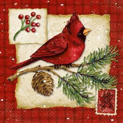Produktbild von 16 Servietten Weihnachts Vogel 2-lagig 33x33cm