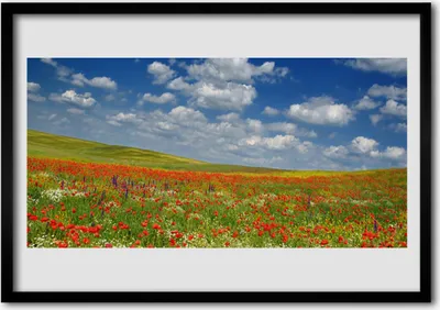 Produktbild von Bild 70x50 MDF-Rahmen Wandkunst Blumen Wiese Landschaft