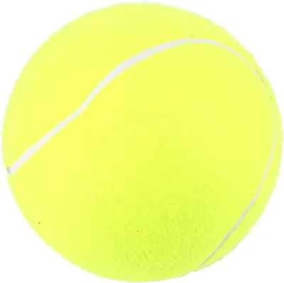 Productafbeelding van Grote tennisballen van 9,5 inch, speciaal voor honden om buiten mee te spelen. Ideaal voor strandspelletjes en cricket