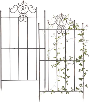 Immagine prodotto di 2 griglie per piante rampicanti "Paula" - 180 x 85,5 cm - Bronzo, Immagine generata dall'IA