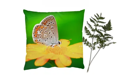 Produktbild von MuchoWow® Zierkissen Sofakissen Wohnzimmer Dekokissen 45x45 cm Blumen - Schmetterling - Natur - Schlafpolster - Polster für das Sofa