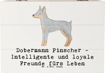 Produktbild von Mr. & Mrs. Panda truhe holz Dobermann Pinscher Freund 22 x 15 cm - Weiß - Geschenk, intelligente Hunde, Wachhund, Geschenkbox, Wachhunde, treue Begleiter, Hunderasse, Box