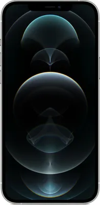 Zdjęcie produktu dla Apple iPhone 12 Pro Max 256 GB srebrny
